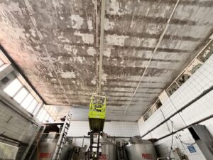 Alibey-Süt-Ürünleri (1)