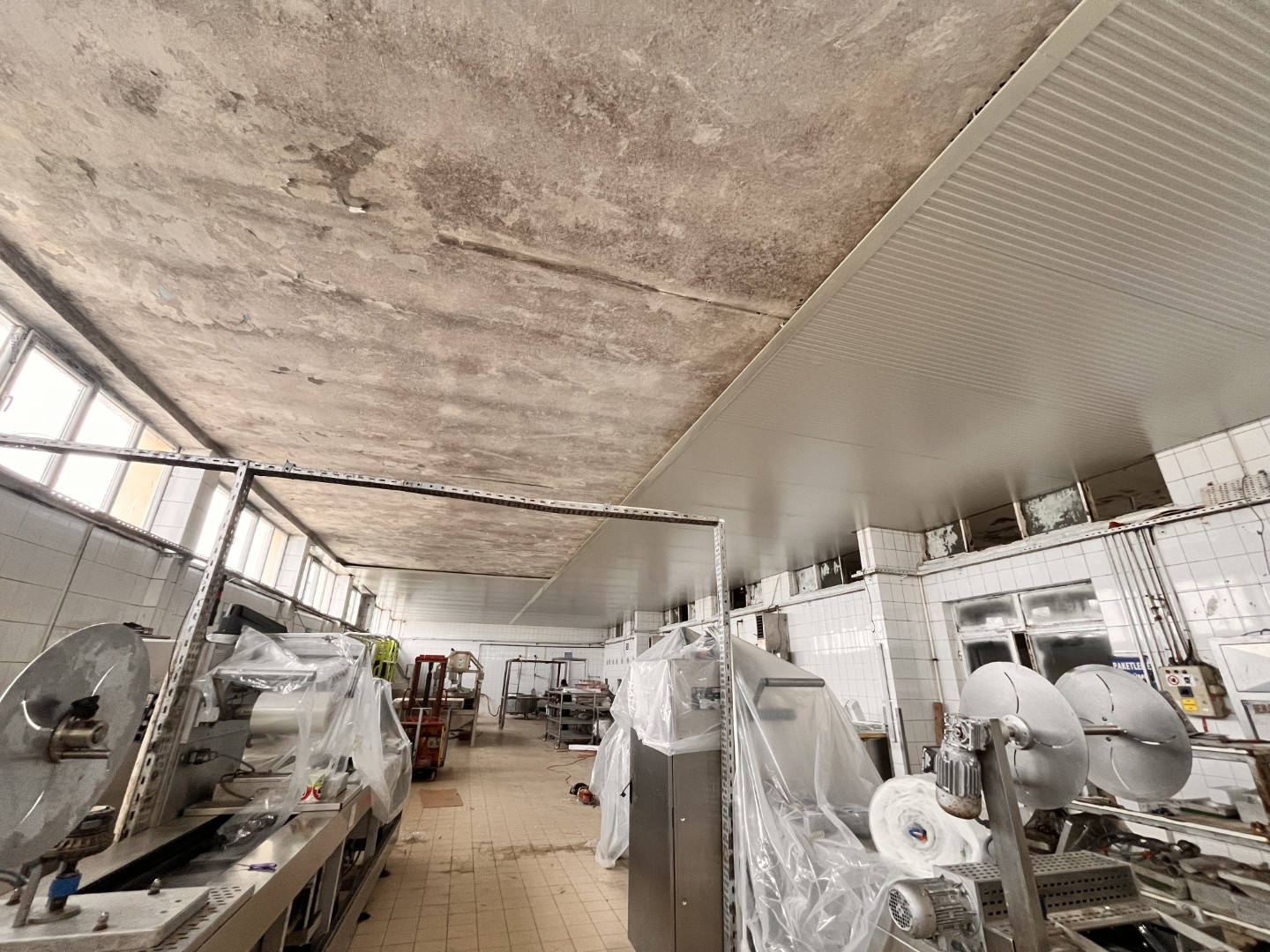 Alibey-Süt-Ürünleri (11)