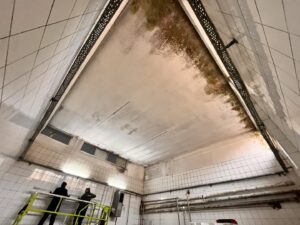 Alibey-Süt-Ürünleri (19)