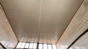 Alibey-Süt-Ürünleri (22)