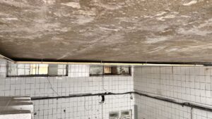 Alibey-Süt-Ürünleri (25)