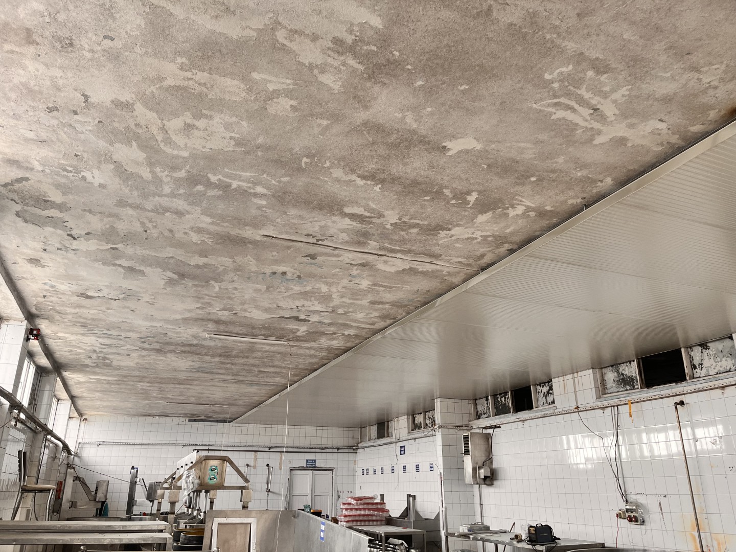 Alibey-Süt-Ürünleri (3)