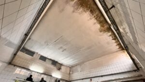 Alibey-Süt-Ürünleri (37)