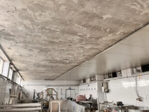 Alibey-Süt-Ürünleri (6)