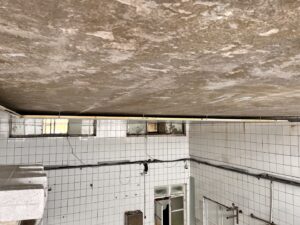 Alibey-Süt-Ürünleri (7)