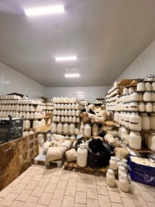 Karadaş-Şavak-Süt-Ürünleri (1)