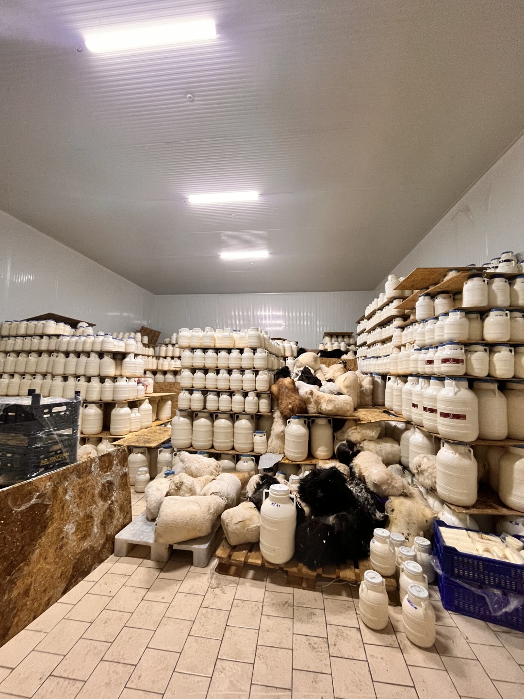 Karadaş-Şavak-Süt-Ürünleri (1)